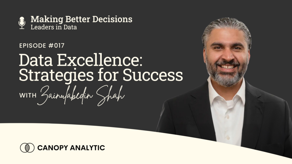 Data Excellence: Strategies for Success with Zainulabedin Shah